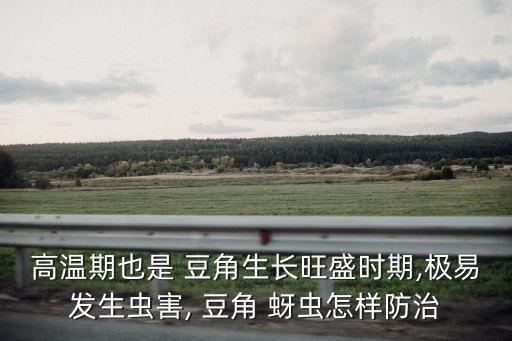 高溫期也是 豆角生長旺盛時期,極易發生蟲害, 豆角 蚜蟲怎樣防治
