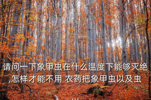 請問一下象甲蟲在什么溫度下能夠滅絕,怎樣才能不用 農藥把象甲蟲以及蟲...