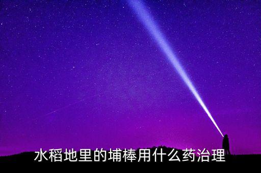水稻地里的埔棒用什么藥治理