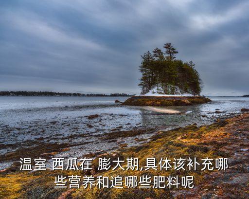 溫室 西瓜在 膨大期,具體該補充哪些營養和追哪些肥料呢