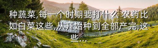 種蔬菜,每一個時期要打什么 農(nóng)藥比如白菜這些,從開始種到全部產(chǎn)完,這些...