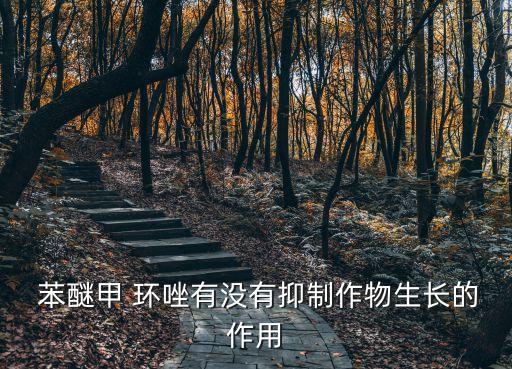 農藥苯醚甲環唑主治什么病