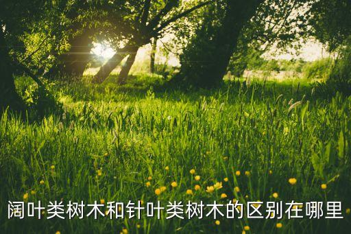 闊葉類樹木和針葉類樹木的區別在哪里