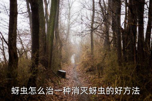 用什么農藥治牙蟲蟲洞,農藥牙蟲什么最好