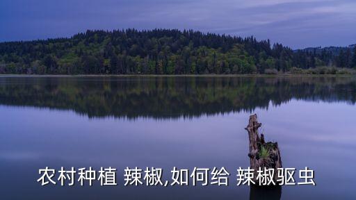 辣椒打農(nóng)藥有什么用嗎,辣椒要打什么農(nóng)藥