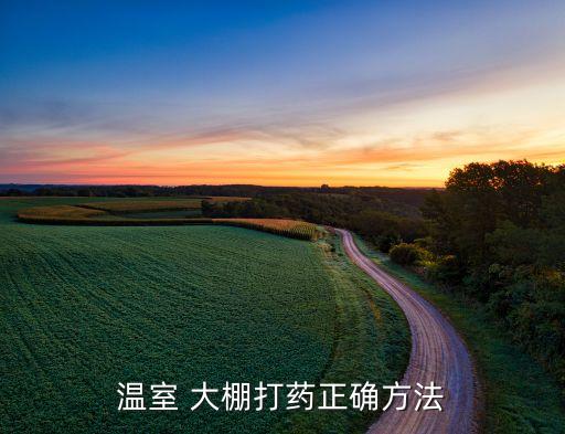 大棚用什么設備打農藥快,噴農藥的那個設備叫什么