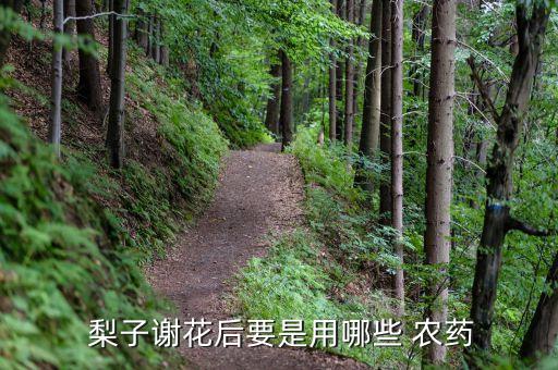 梨子什么季節(jié)成熟?,梨子成熟中期打什么農(nóng)藥