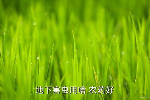 什么農(nóng)藥殺蟲卵6,樂果農(nóng)藥殺蟲卵嗎?