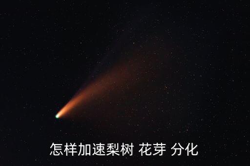 怎樣加速梨樹 花芽 分化