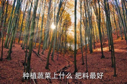 農村施什么肥料最好用農藥,月季花施什么肥料最好