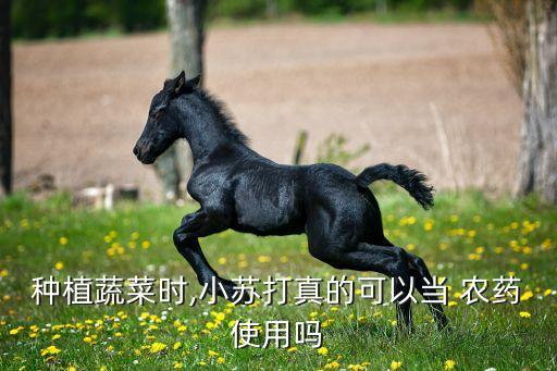 小鐵頭臭根打什么農藥