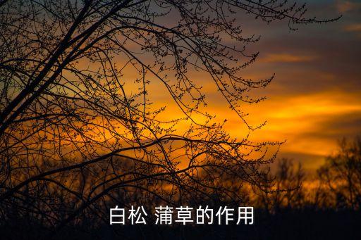 白松 蒲草的作用