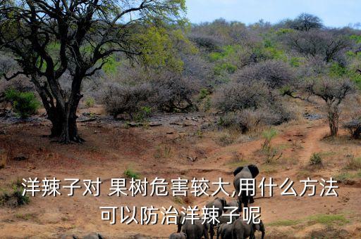 果樹刺蛾打什么農藥,皂果樹的刺有什么功效