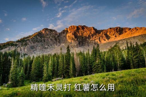 紅薯生沙蟲用什么農藥
