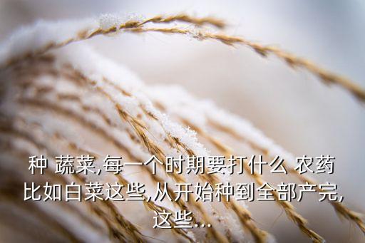 種 蔬菜,每一個(gè)時(shí)期要打什么 農(nóng)藥比如白菜這些,從開始種到全部產(chǎn)完,這些...
