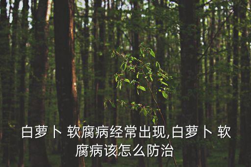 什么是軟腐病用什么農藥