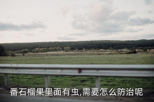 芭樂用什么農(nóng)藥促花
