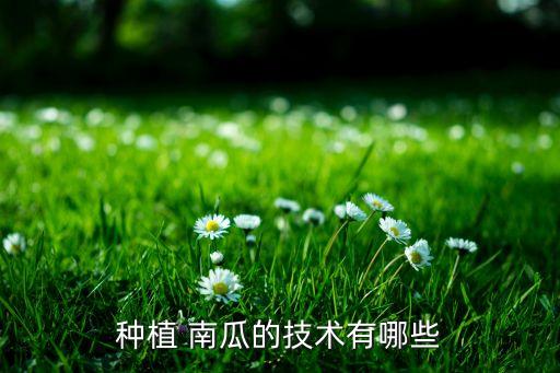 南瓜要打什么農藥,南瓜打農藥多嗎
