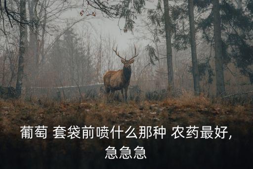 葡萄 套袋前噴什么那種 農藥最好,急急急