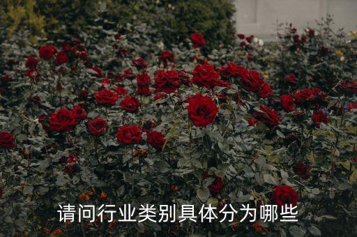 請問行業類別具體分為哪些