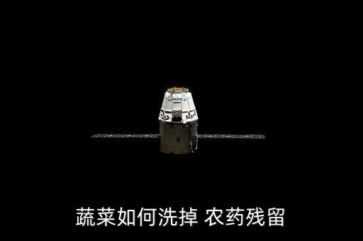 什么野菜怎么洗能沖掉農藥