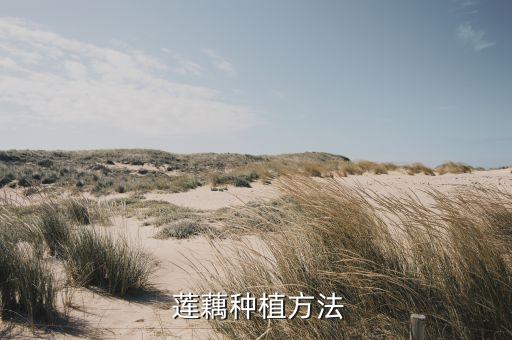什么農藥會使蓮藕爛根子,蓮藕有病用什么農藥