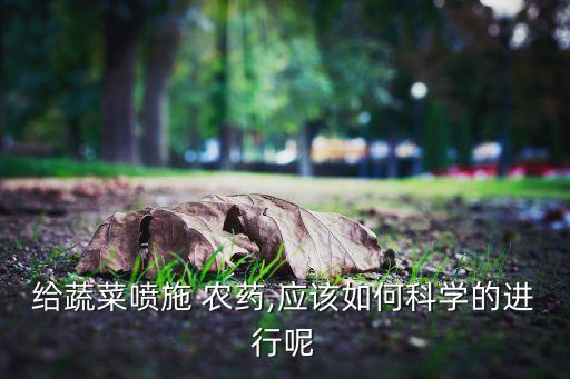 種菜用什么噴農藥好些視頻