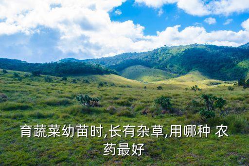什么農(nóng)藥能死草而不死菜