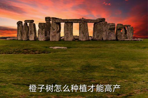 橙子樹應該打什么農藥保果