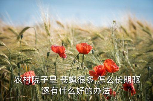 農村蒼蠅太多用什么農藥,什么農藥能大量殺死蒼蠅