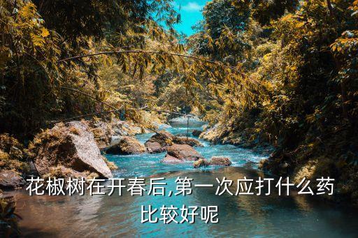  花椒樹在開春后,第一次應打什么藥比較好呢