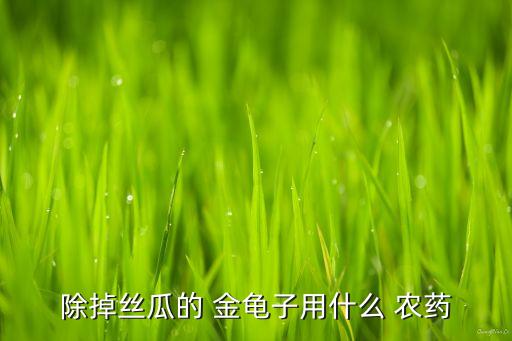 除掉絲瓜的 金龜子用什么 農藥