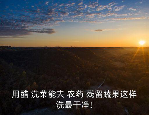 用醋 洗菜能去 農藥 殘留蔬果這樣洗最干凈!