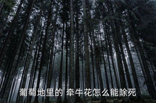 葡萄地里的 牽牛花怎么能除死