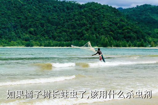 打桔子樹(shù)的農(nóng)藥,八月份桔子樹(shù)打什么農(nóng)藥