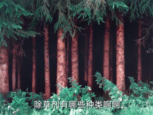  除草劑有哪些種類啊啊