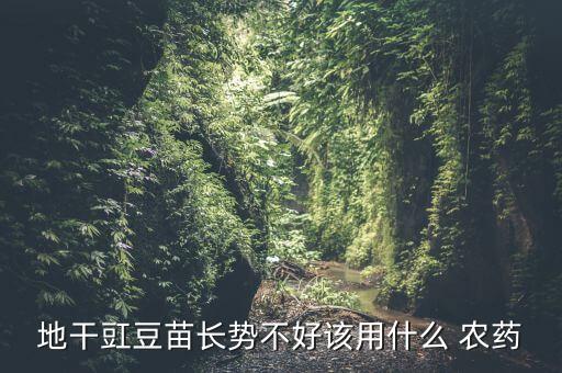 拌豆種用什么農藥