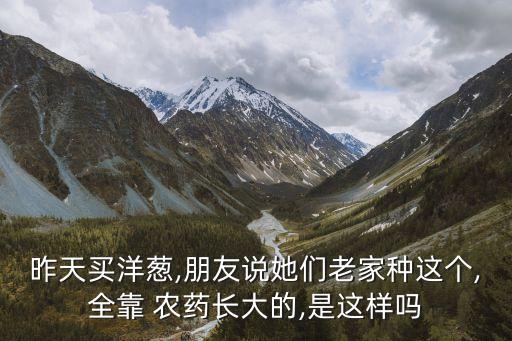 昨天買洋蔥,朋友說她們老家種這個,全靠 農藥長大的,是這樣嗎