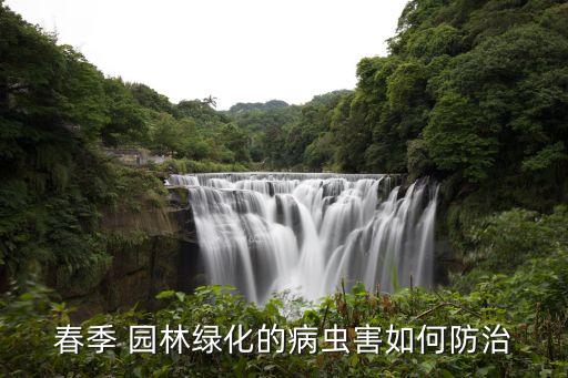 園林有什么農藥抗高溫殺蟲