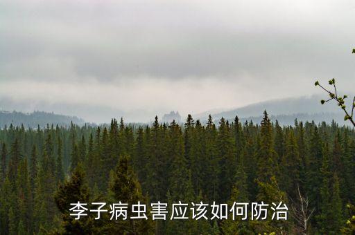  李子病蟲害應(yīng)該如何防治