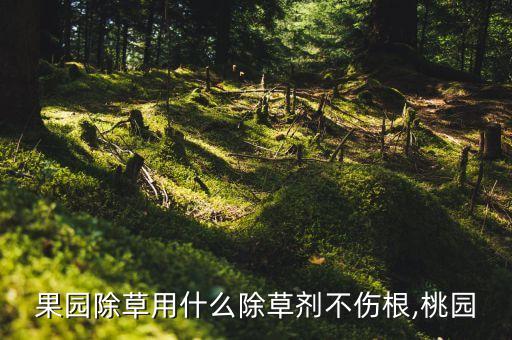 果園除草用什么除草劑不傷根,桃園