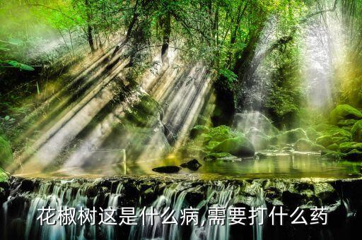 ,花椒樹現在打什么農藥