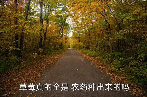 為什么草莓打農藥最多,草莓是農藥最多的水果嗎