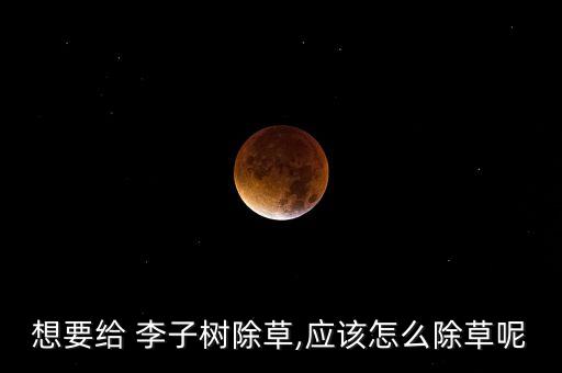 李子用什么洗去農藥,李子可以噴什么綠色農藥