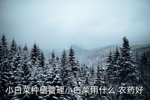 小白菜種植管理小白菜用什么 農(nóng)藥好