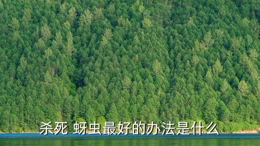 用什么農藥去黑蚜蟲,什么農藥治蚜蟲效果好