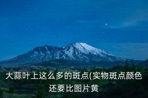大蒜葉上這么多的斑點(實物斑點顏色還要比圖片黃