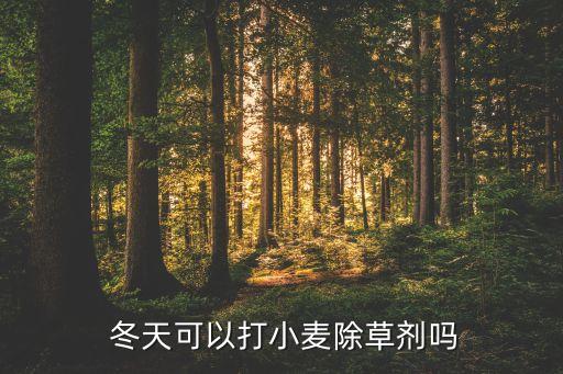  冬天可以打小麥除草劑嗎