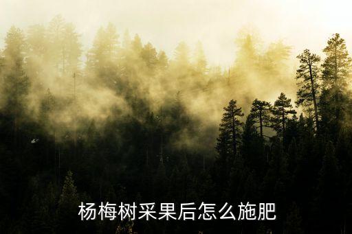 楊梅結果使用什么農藥管理