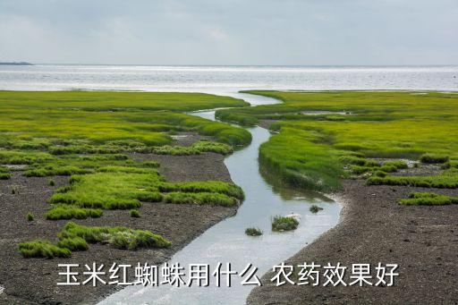 玉米紅蜘蛛用什么 農藥效果好